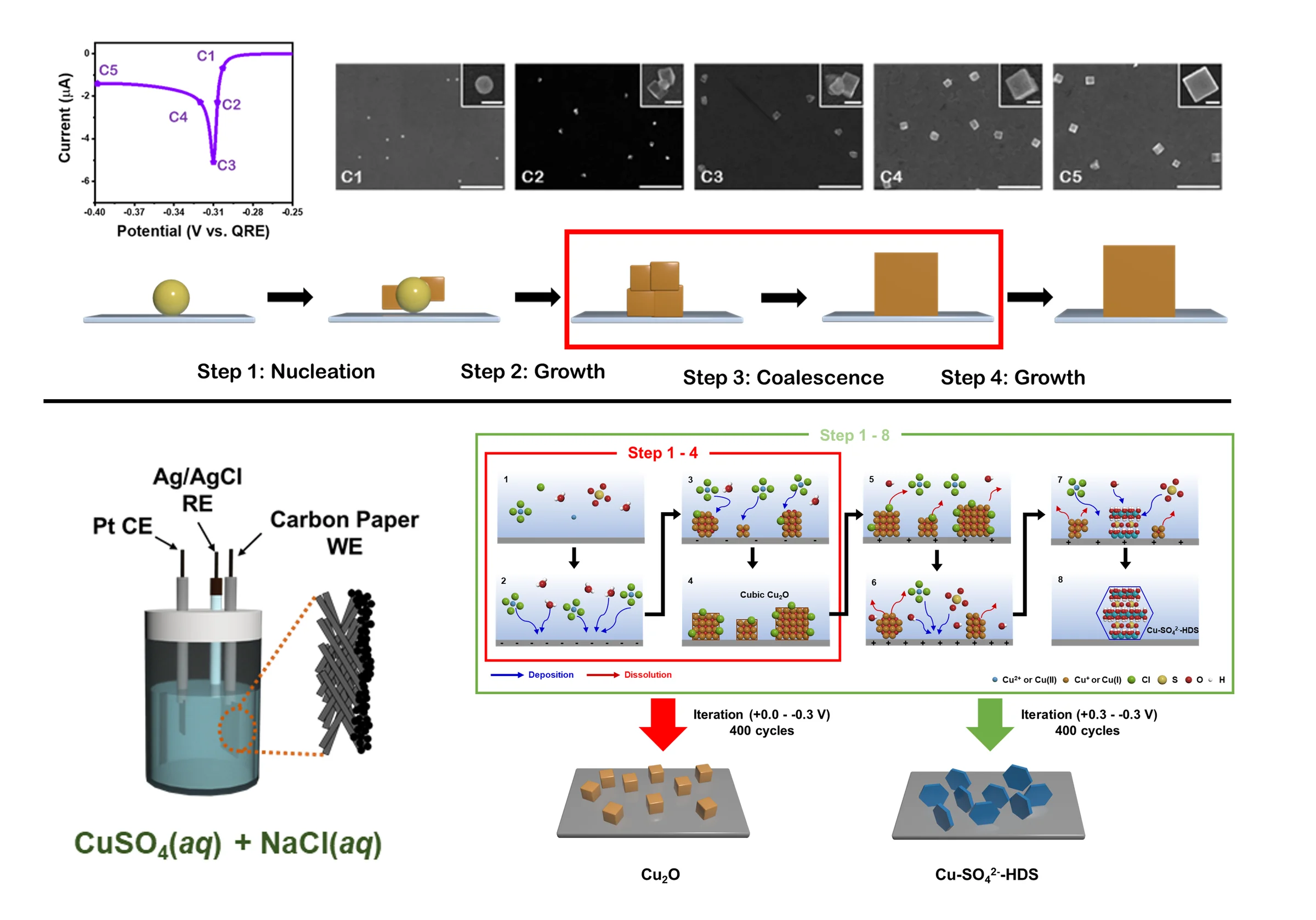 Growth mechanism of Cu-based nanostructures: cyclic voltammogram with SEM images at stages C1–C5; schematic of nucleation, growth, coalescence and further growth on a Au nanoparticle; three-electrode cell with a carbon-paper working electrode in CuSO₄ + NaCl; deposition–dissolution steps leading to cubic Cu₂O or Cu–SO₄²⁻ hydroxy double salt