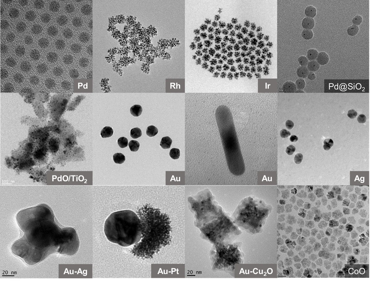 TEM images of synthesized nanoparticles: Pd, Rh, Ir, Pd@SiO₂, PdO/TiO₂, Au, Au nanorod, Ag, Au–Ag, Au–Pt, Au–Cu₂O and CoO