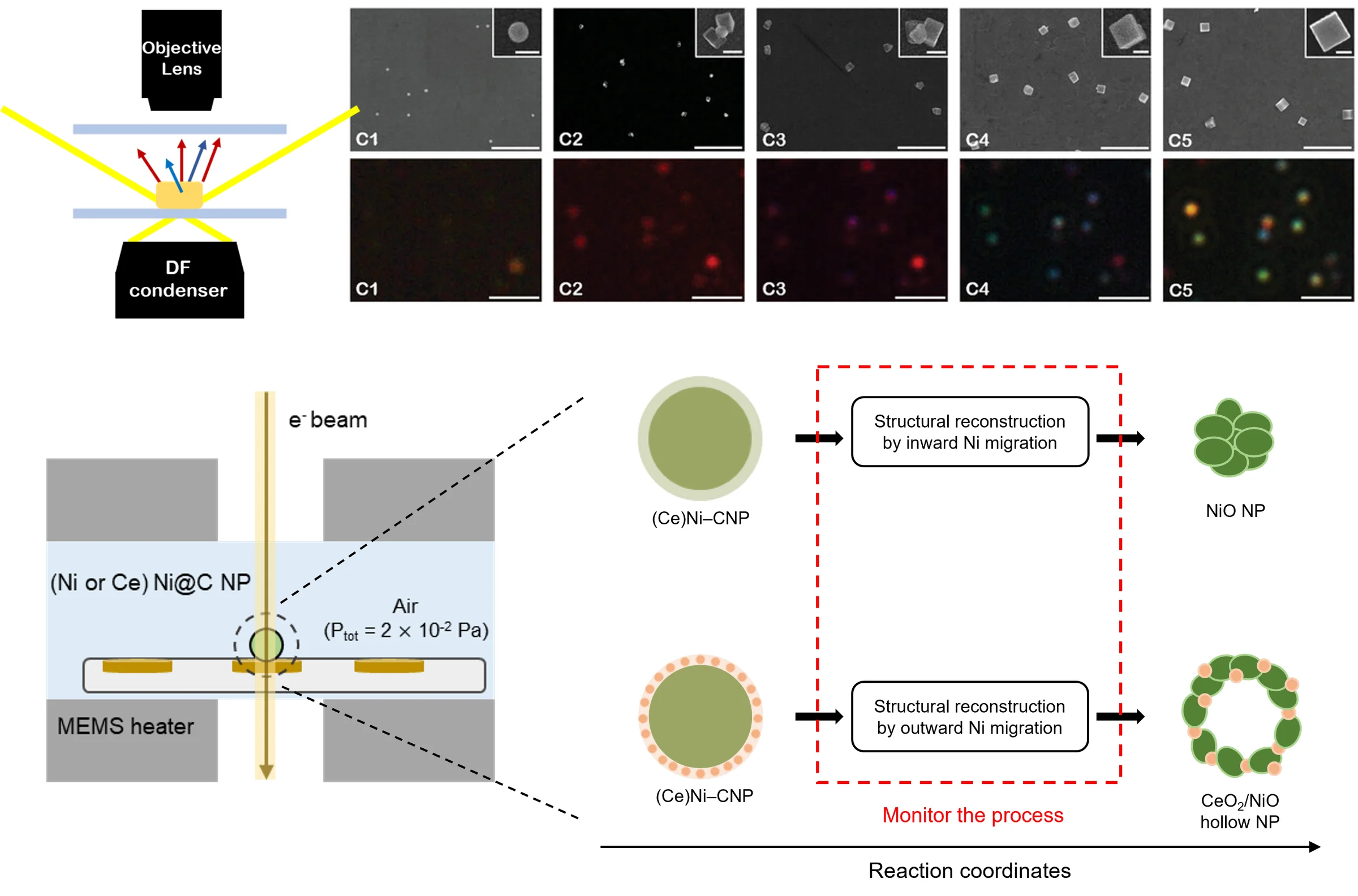 Microscopy-based characterization: dark-field optical microscopy setup with SEM and dark-field scattering images of growing particles at stages C1–C5; in situ environmental TEM with a MEMS heater used to monitor the structural evolution of Ni@C nanoparticles