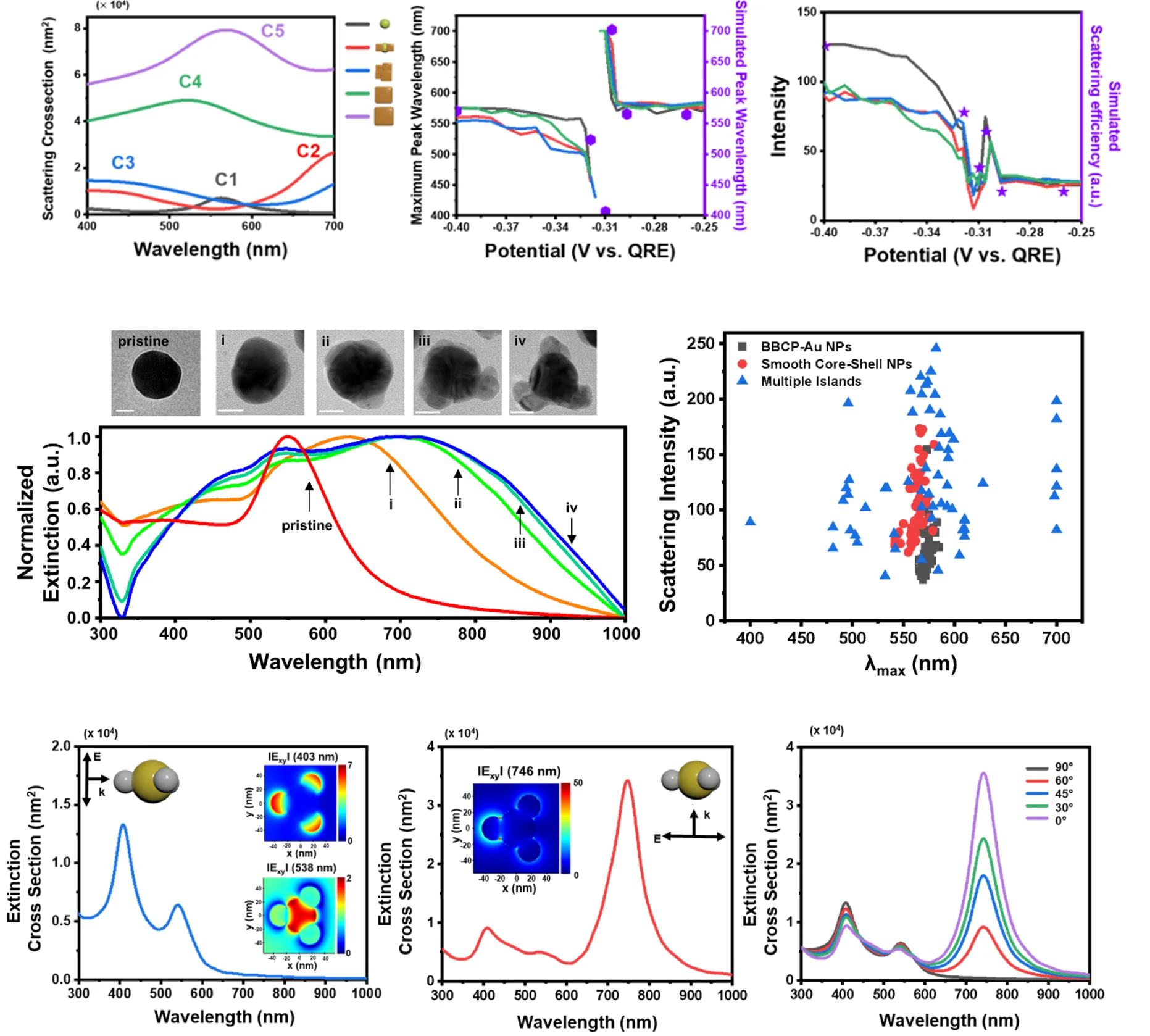 Optical analysis and simulation: measured and simulated scattering spectra and peak wavelengths during electrochemical growth (stages C1–C5); extinction spectra and single-particle scattering of Au nanostructures with TEM images; FDTD-simulated extinction cross sections and near-field maps of Au nanoparticle assemblies at different polarization angles